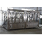 Juice Packaging Machine